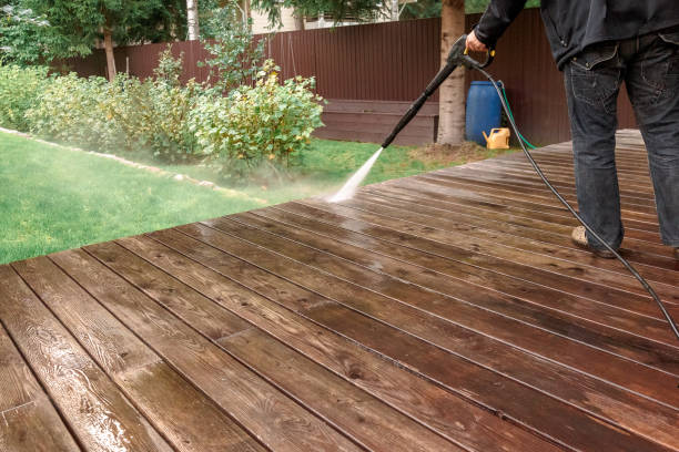 Best Solar Panel Cleaning  in Scanlon, MN