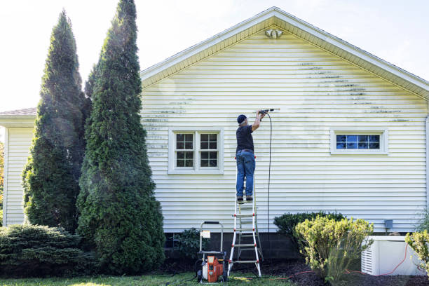 Best Historic Building Restoration  in Scanlon, MN